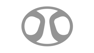 BAIC - Logo grau