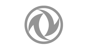 DFSK - Logo grau