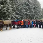 Gruppenfoto der Mitarbeiter von König & Partner in verschneitem Wald neben einem Pferdeschlitten
