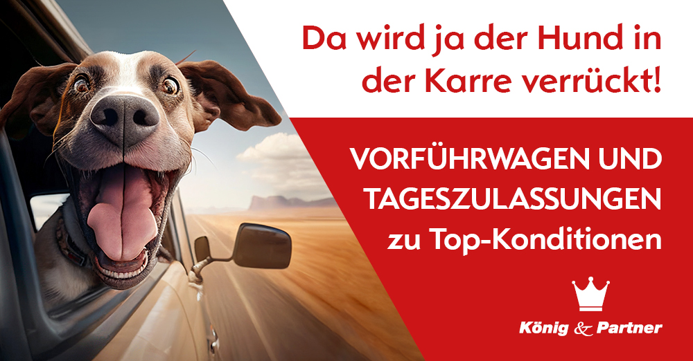 Tageszulassungen Wolfsburg: Vw Angebote – Jetzt Vergleichen & Sparen! - 6199h8c